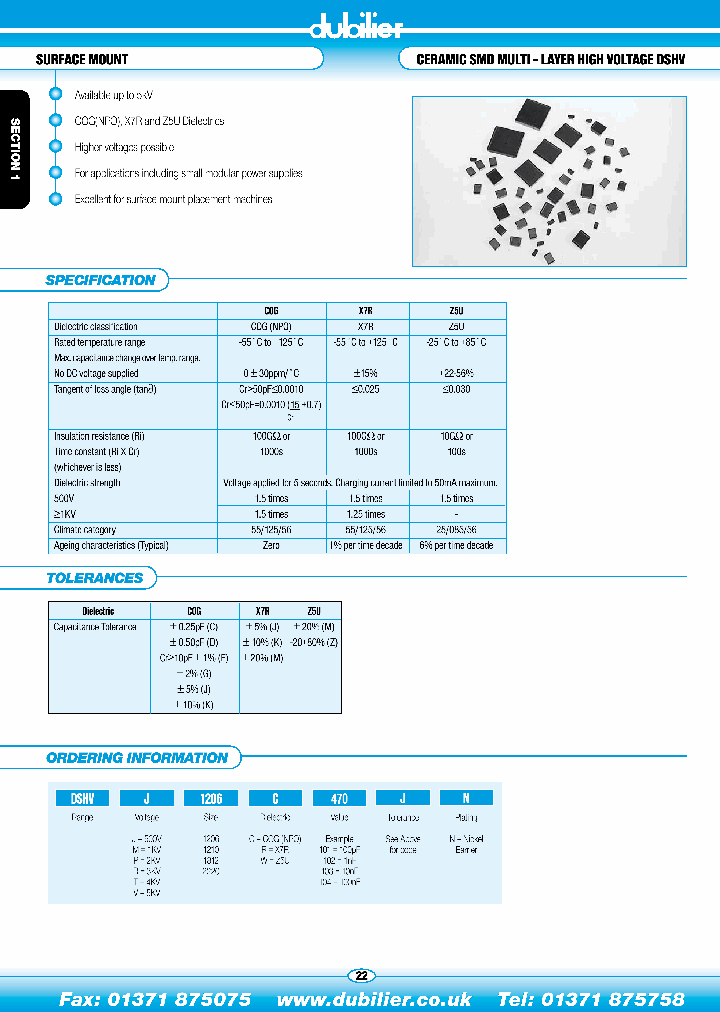 DSHVT230C101JN_4556706.PDF Datasheet