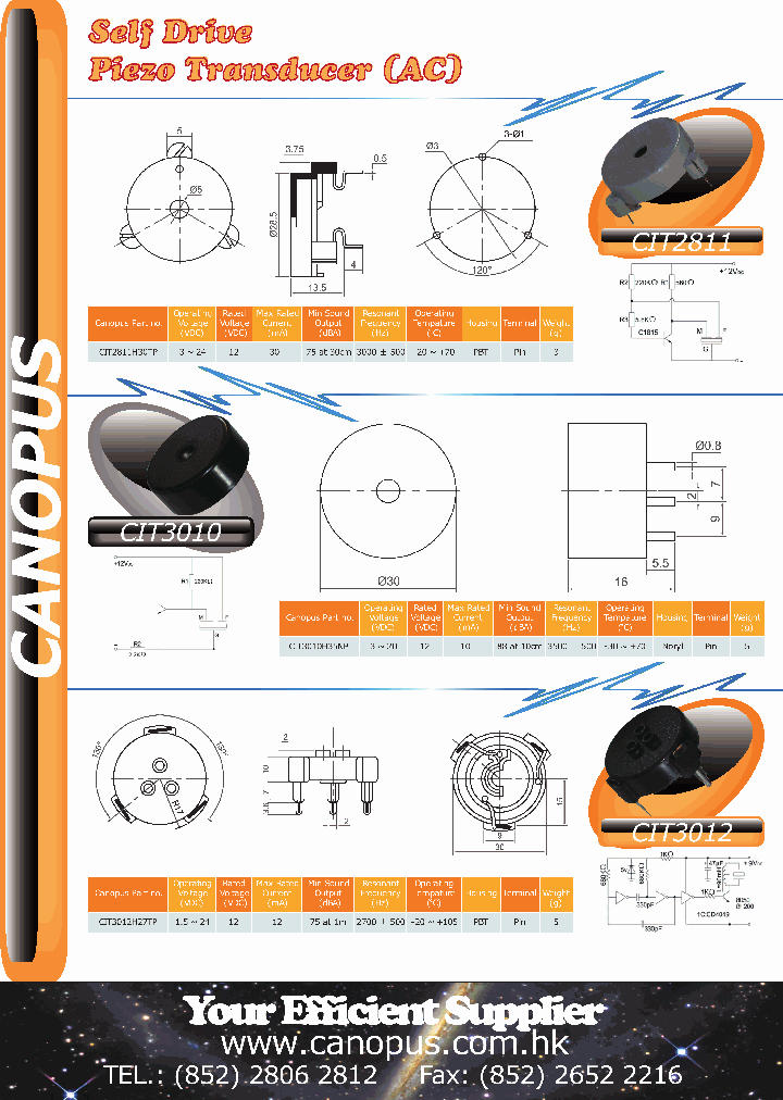 CIT3010_2673549.PDF Datasheet